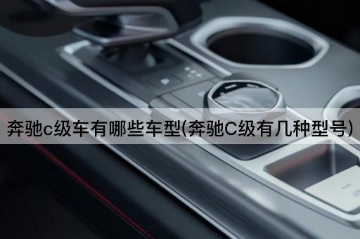 奔驰c级车有哪些车型(奔驰C级有几种型号)
