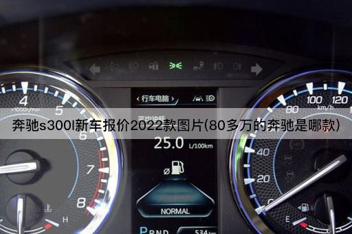 奔驰s300l新车报价2022款图片(80多万的奔驰是哪款)