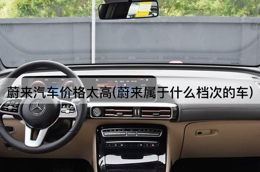 蔚来汽车价格太高(蔚来属于什么档次的车)
