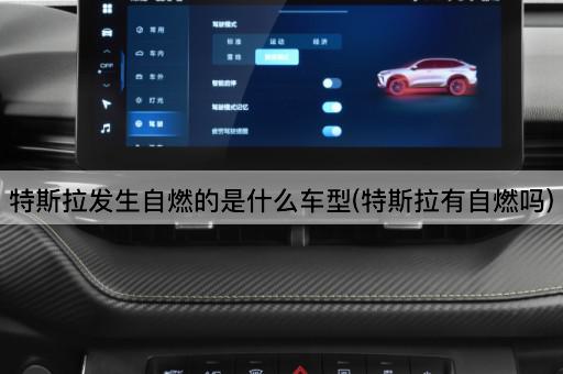 特斯拉发生自燃的是什么车型(特斯拉有自燃吗)