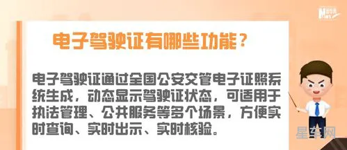 驾驶证电子版就不用带驾驶证了吗(电子驾驶证有利也有弊)