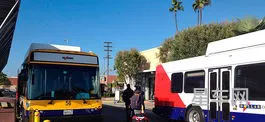 dollar租车(租车app排行榜前十名)