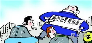 车险主要看哪几项(车险一般保哪几个项目)