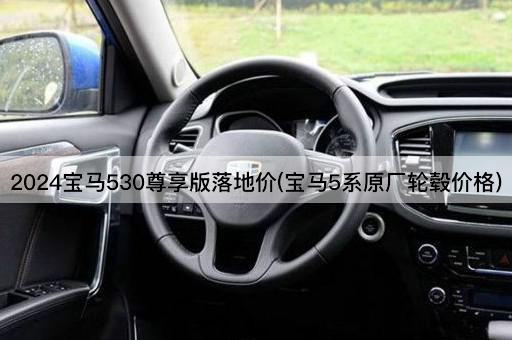 2024宝马530尊享版落地价(宝马5系原厂轮毂价格)