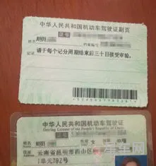 驾驶证查询网(身份证号一键查询驾驶证)