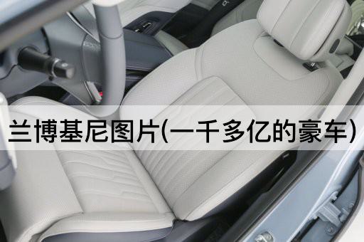 兰博基尼图片(一千多亿的豪车)