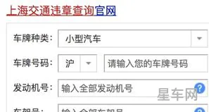 输入车牌号查车辆信息(免费车辆信息查询软件)
